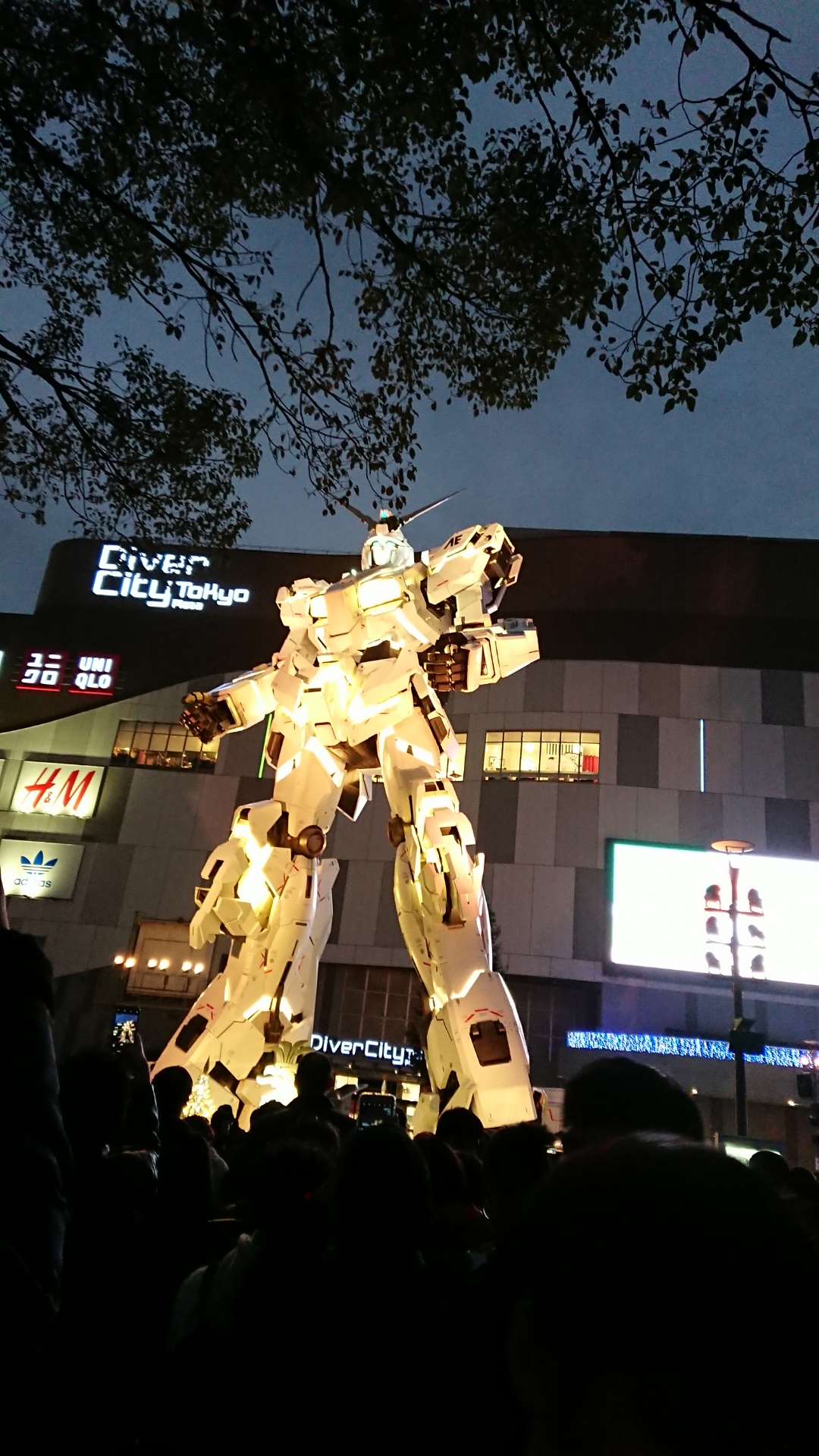フェネクス?