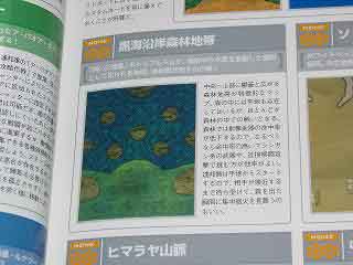 近コスト「黒海沿岸森林地帯」マップ
